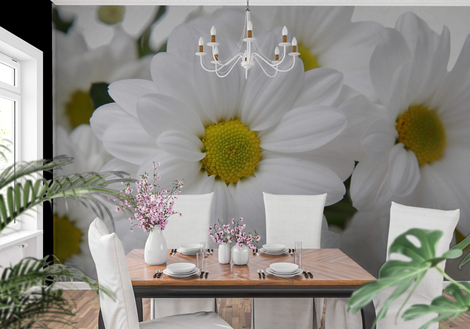 Papier peint composition de chrysanthèmes blancs comme neige