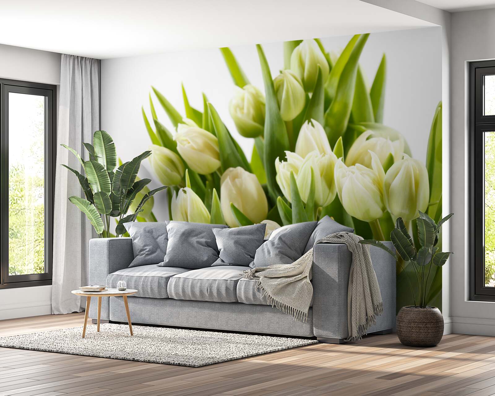 Papier peint ensemble de tulipes blanches