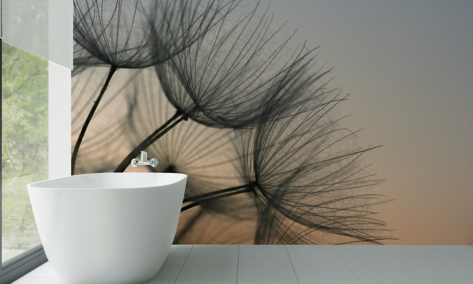 Papier peint coucher de soleil sur les pissenlits