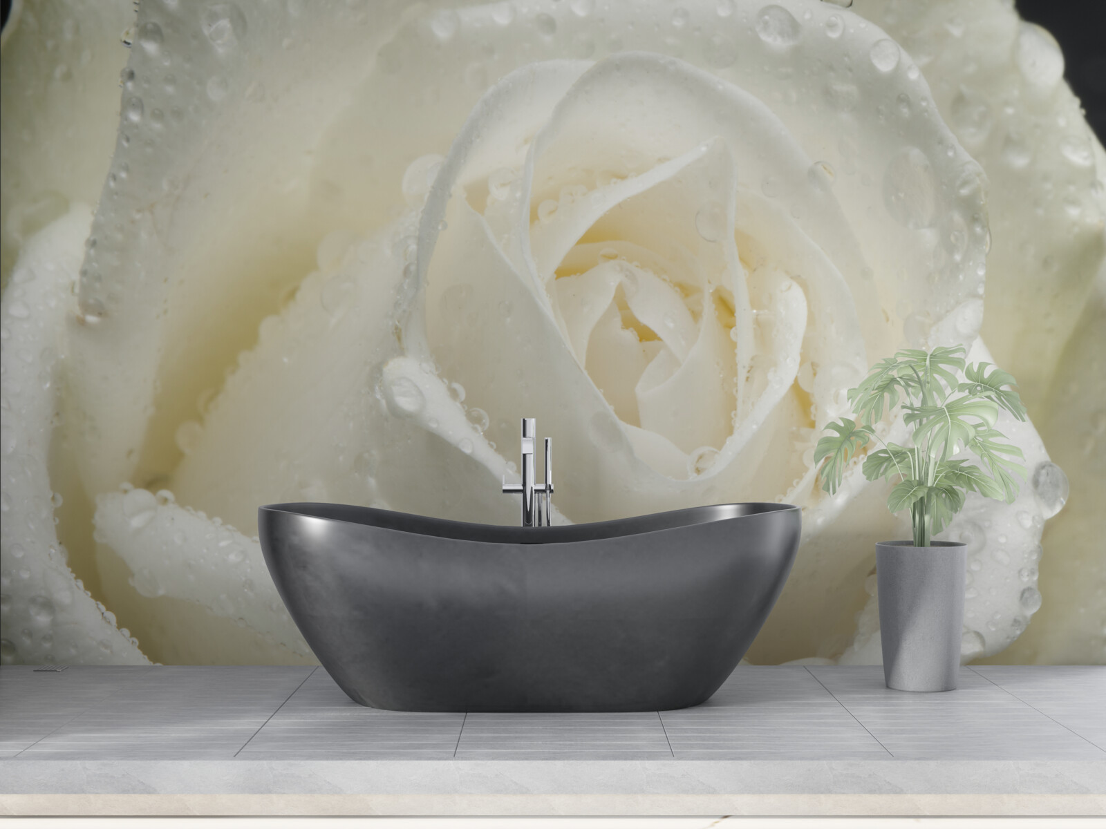 Papier peint rose blanche couverte de rosée du matin