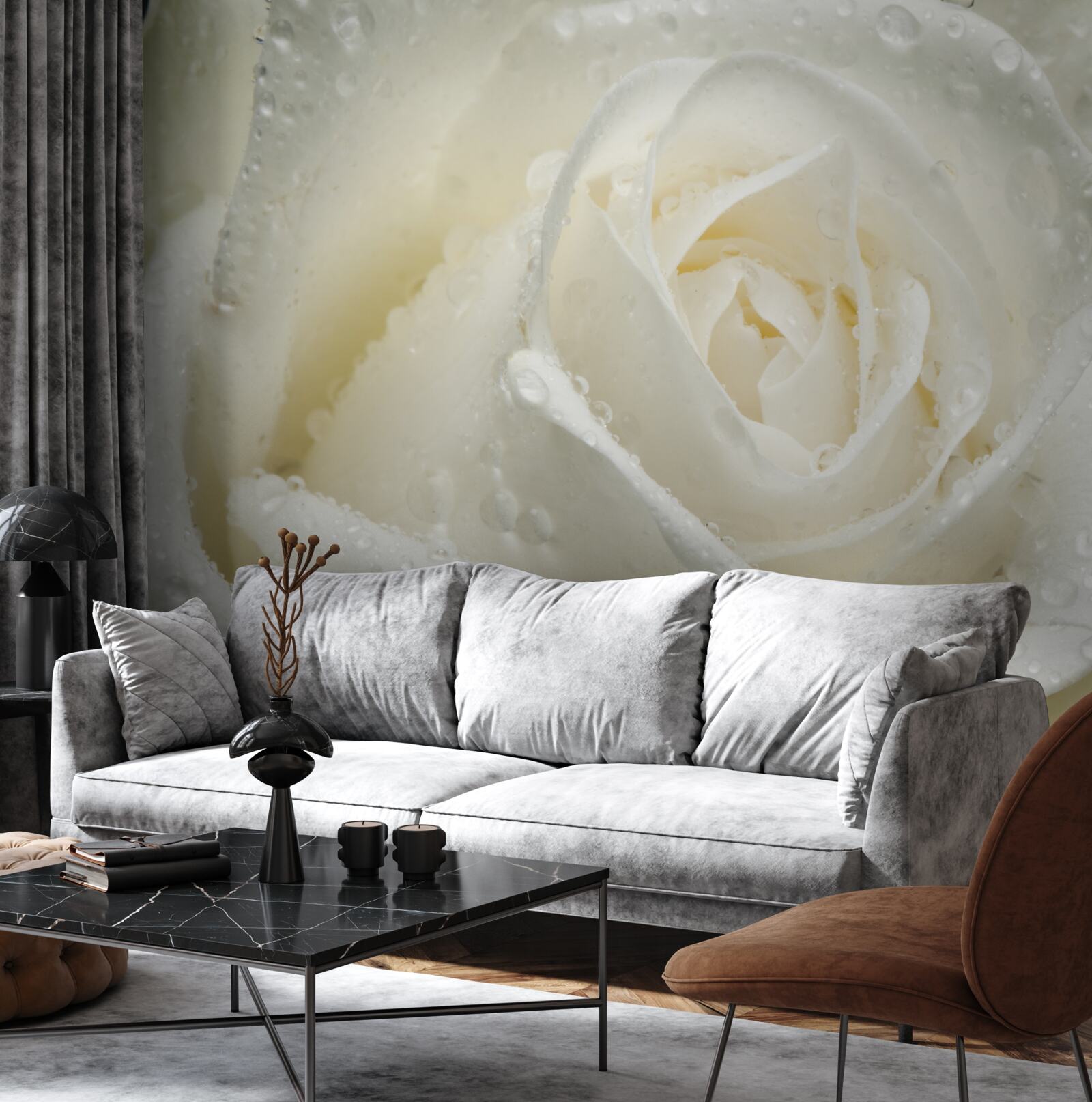 Papier peint rose blanche couverte de rosée du matin