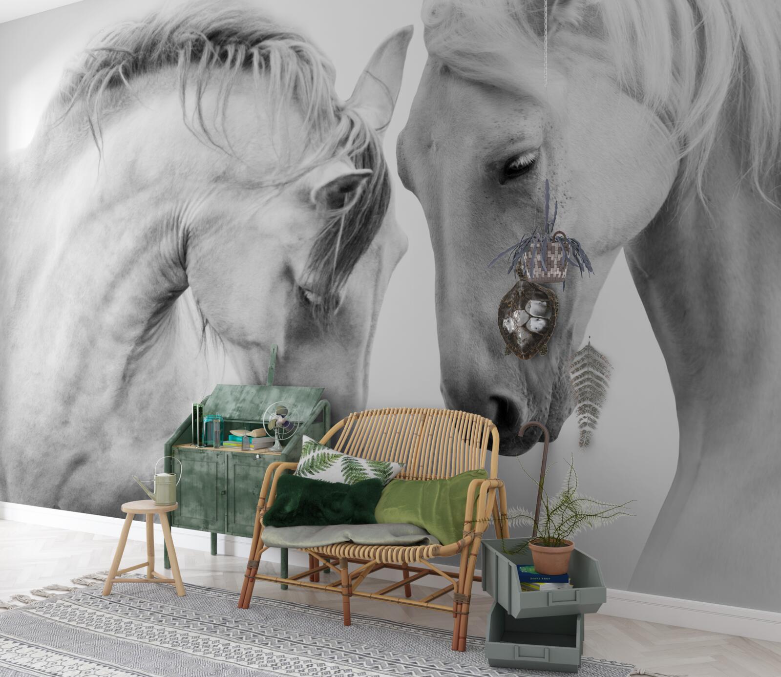 Papier peint les chevaux blancs communiquent