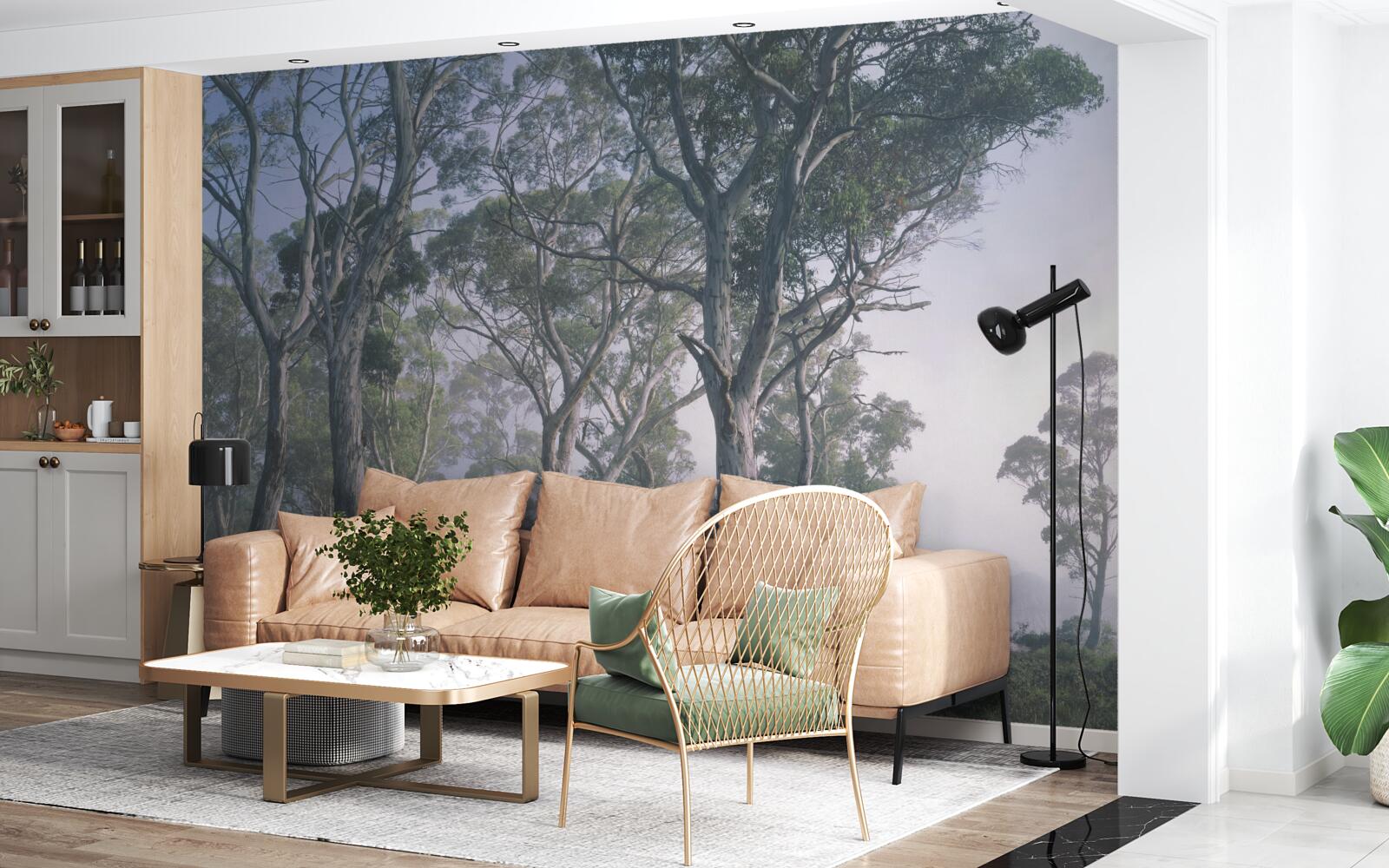 Papier peint le matin se réveille dans une forêt brumeuse