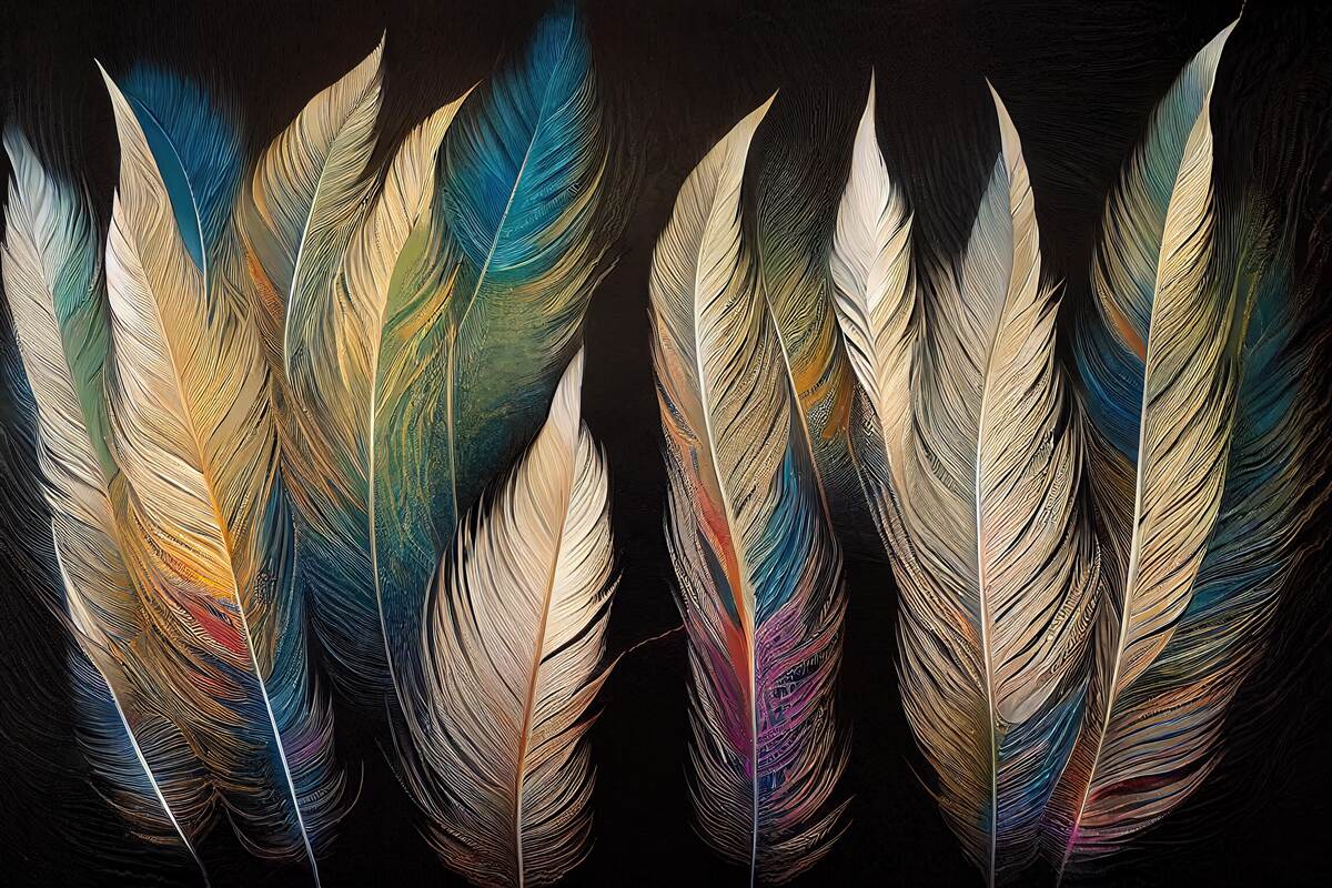 Papier peint structure en plumes d'oiseaux