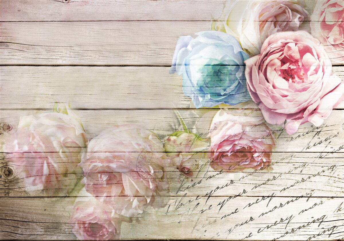 Papier peint ensemble de roses semblables à des pivoines