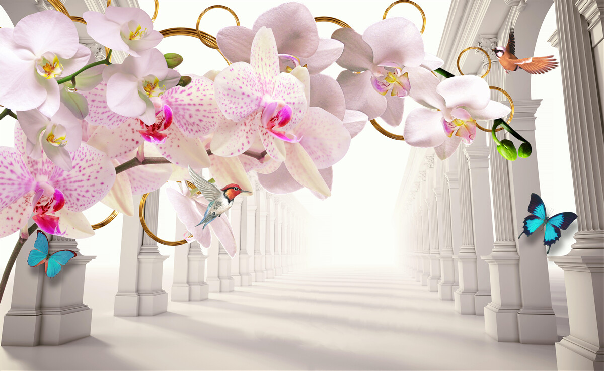 Papier peint les arches blanches sont décorées d'orchidées et de papillons