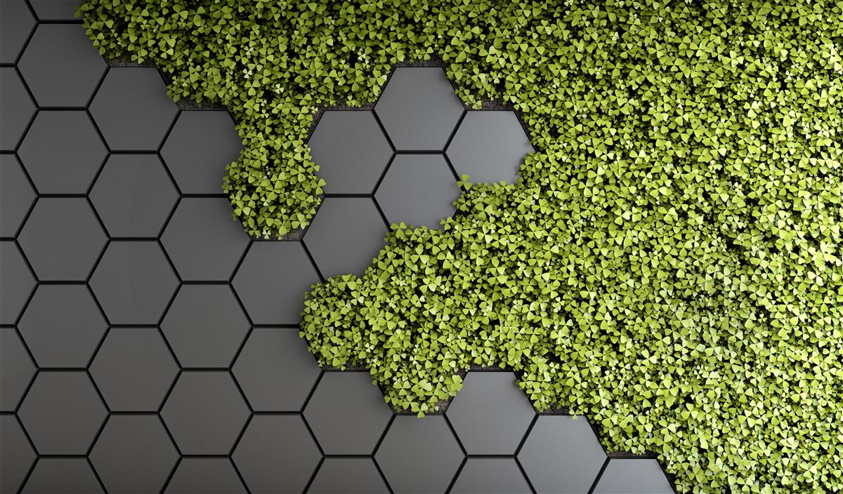 Papier peint la maçonnerie est recouverte de mousse verte