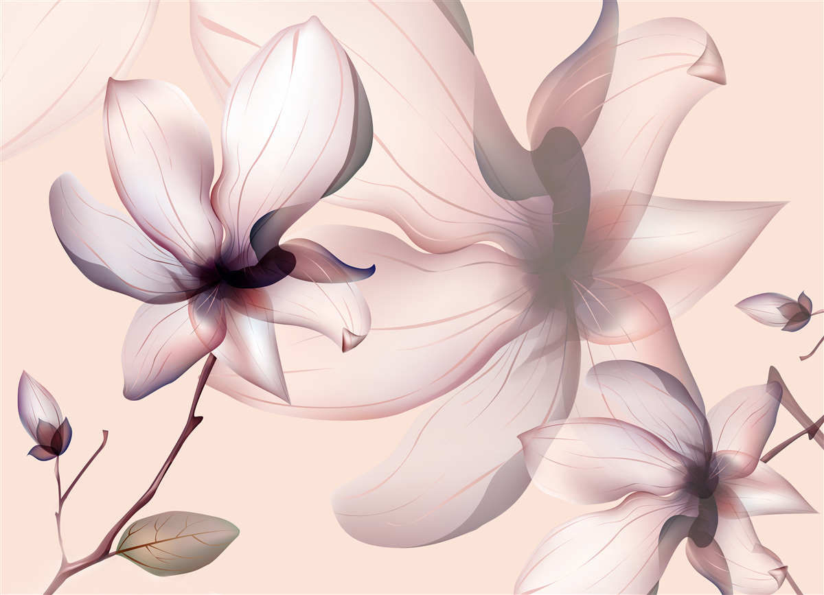 Papier peint fond lumineux avec des magnolias