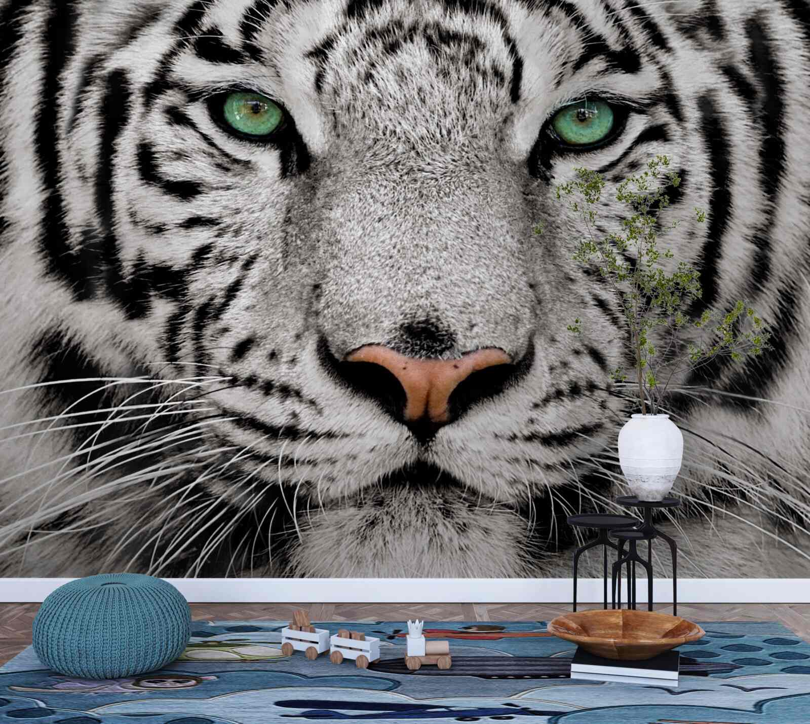 Papier peint image d'un tigre blanc