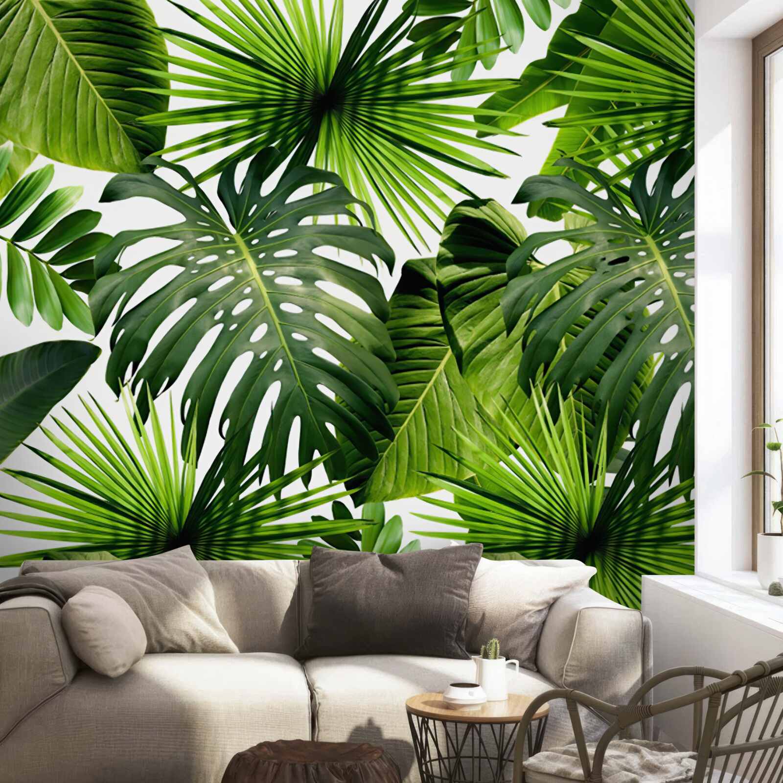 Papier peint monstera et feuilles de bananier sur fond blanc, avec densité