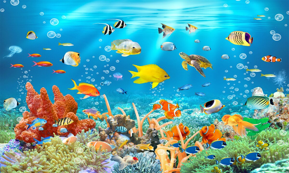 Papier peint Le monde fascinant de l'eau