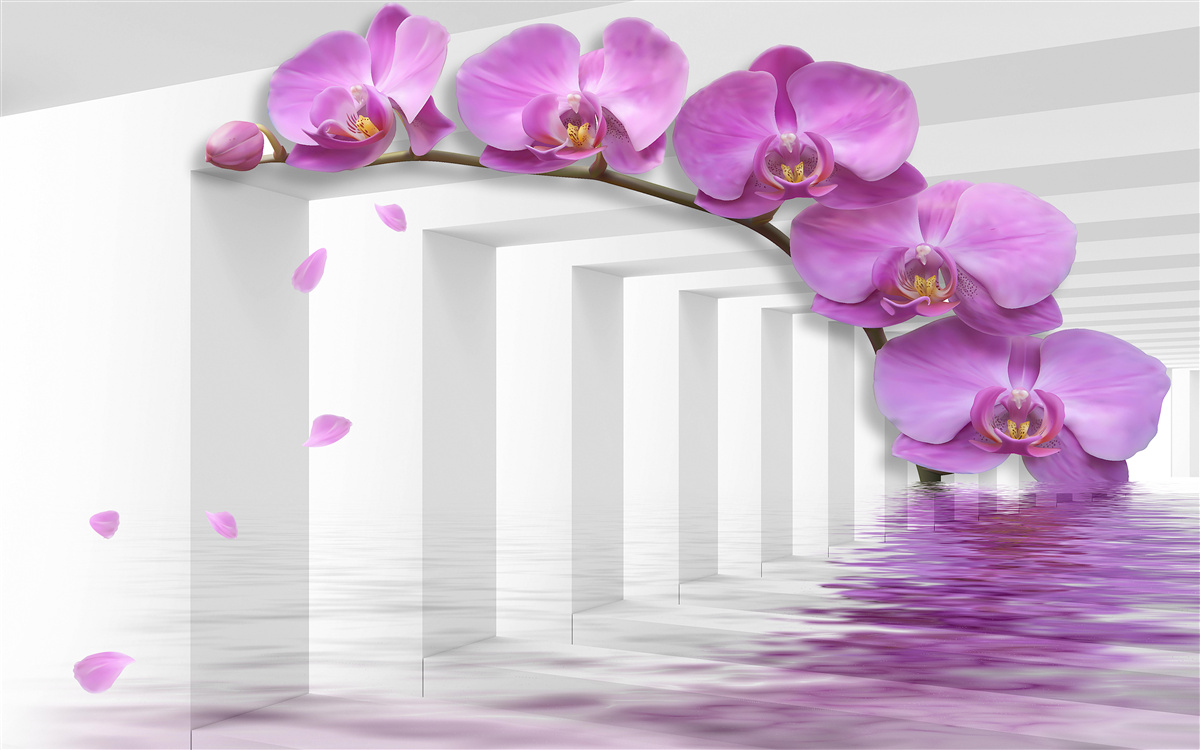 Papier peint orchidée lilas sur une branche entourée d'arcs blancs
