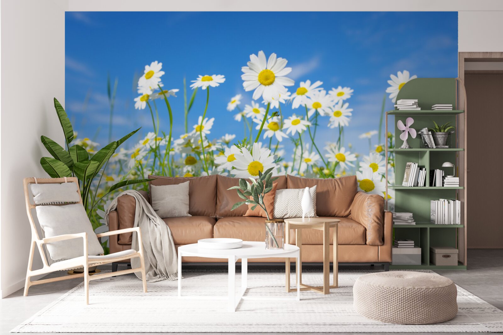 Papier peint camomille dans une prairie un jour d'été