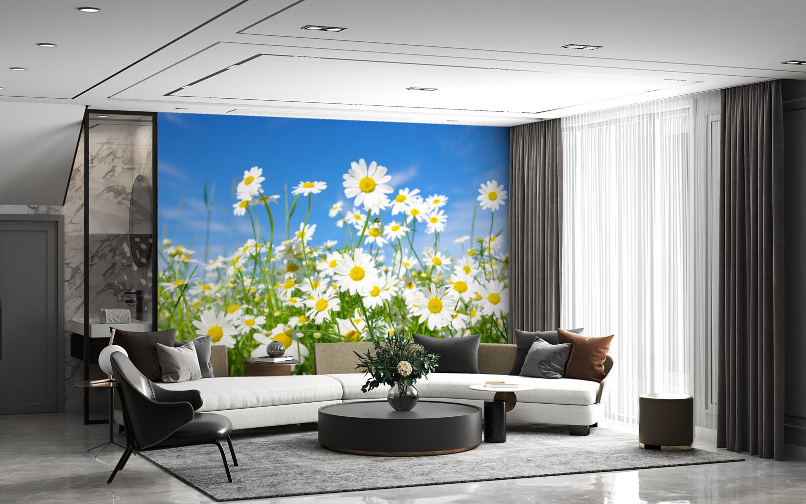 Papier peint camomille dans une prairie un jour d'été