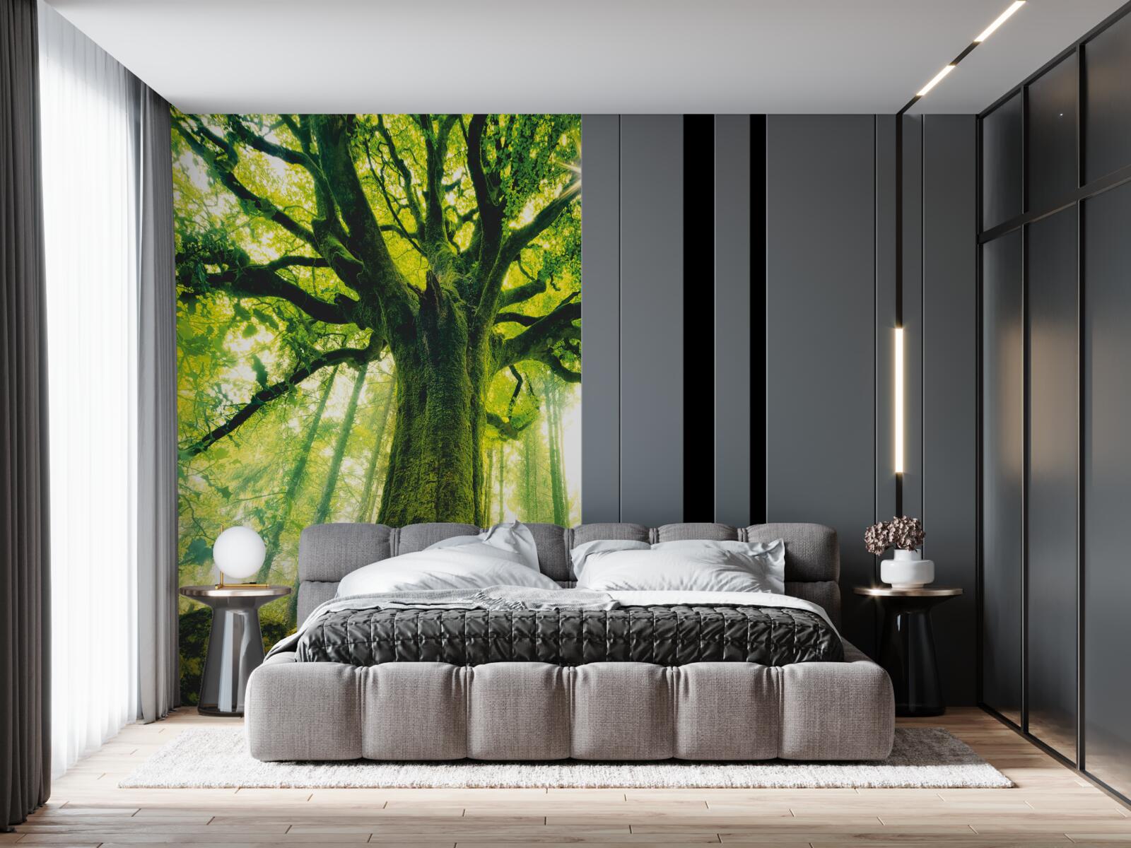 Papier peint arbre de vie dans la forêt du matin