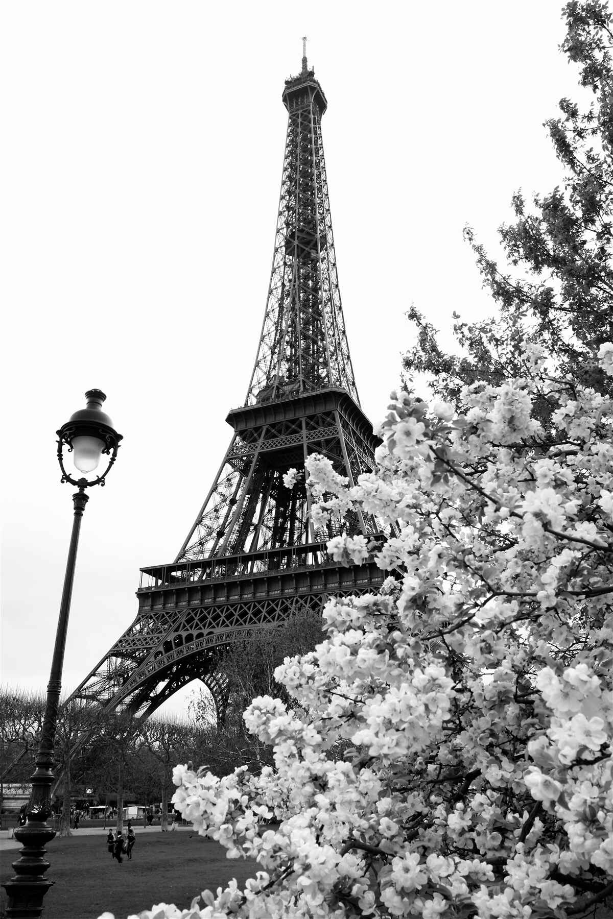 Papier peint tour eiffel en noir et blanc