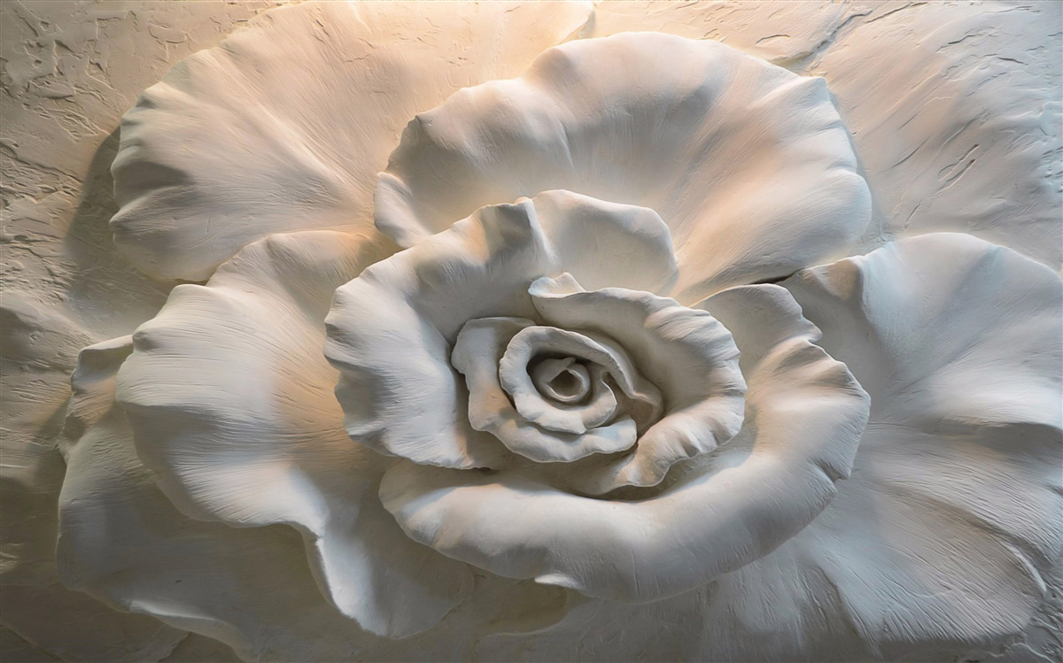 Papier peint gros plan sur une énorme rose blanche