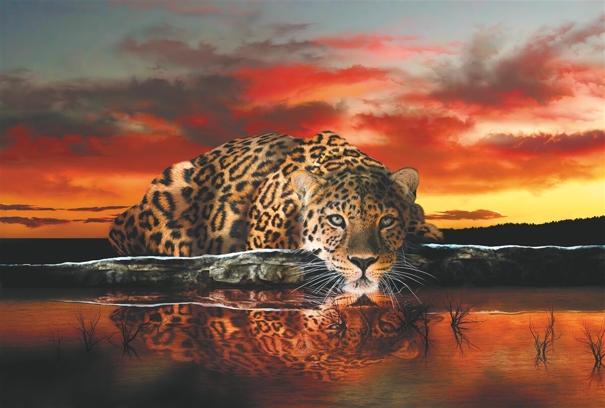 Papier peint imprimé léopard sur fond de coucher de soleil