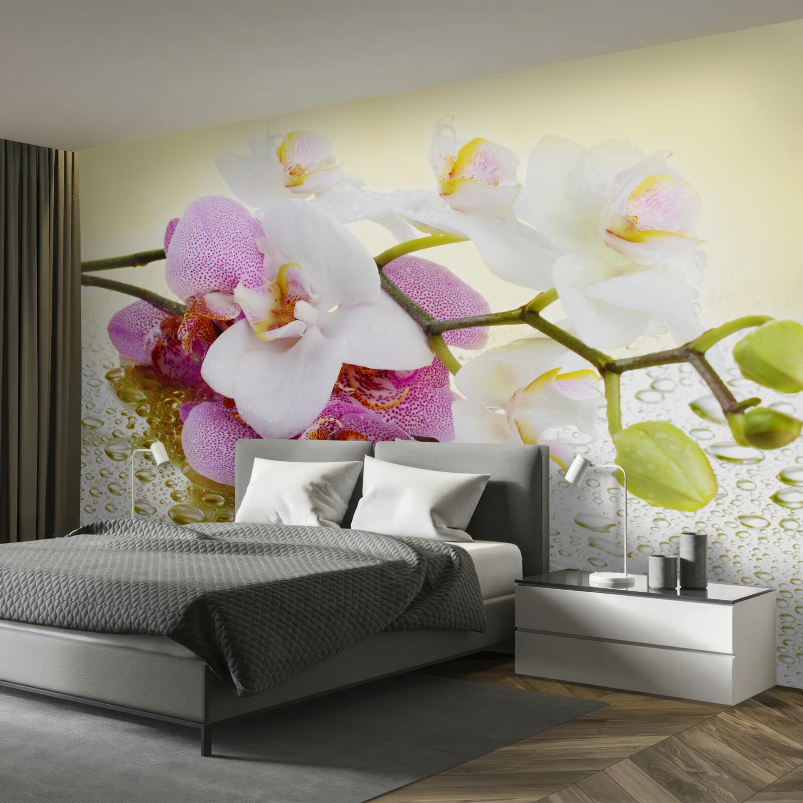 Papier peint gouttes sur les branches d'orchidées délicieuses