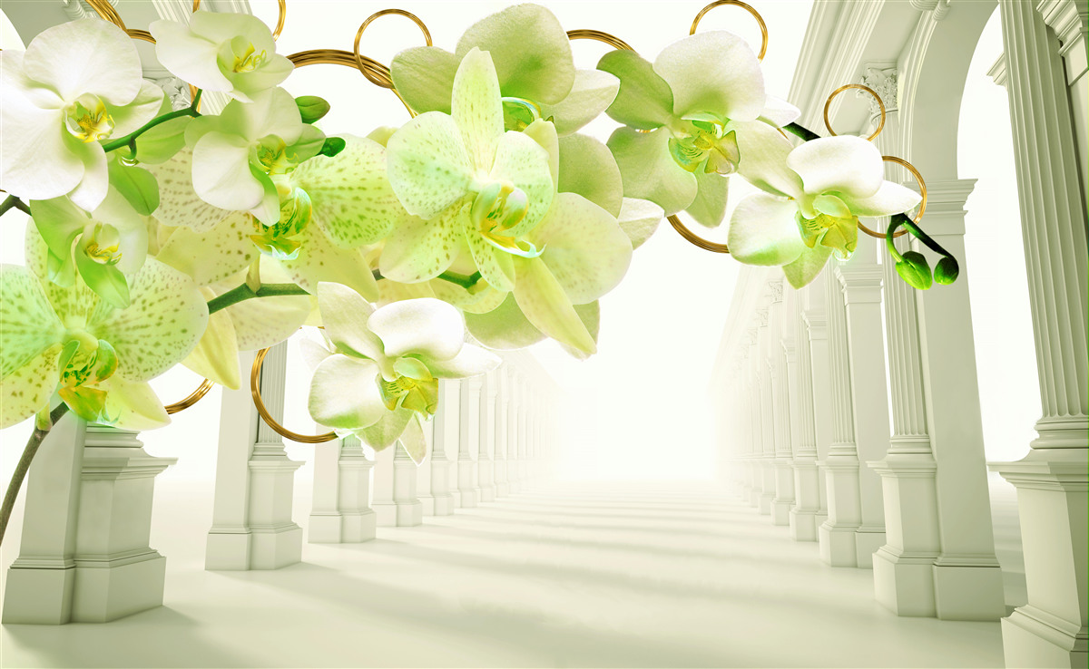 Papier peint orchidée blanche et verte contre des piliers blancs