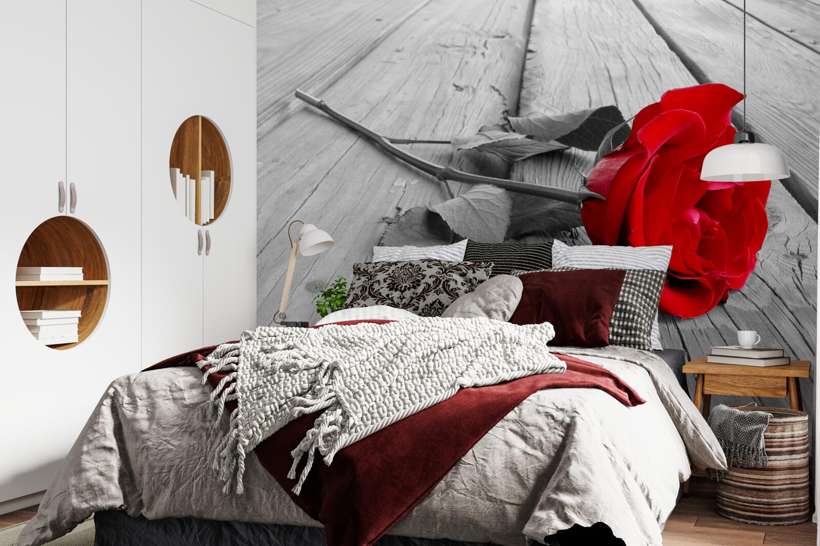 Papier peint une rose rouge s'épanouit sur un fond gris