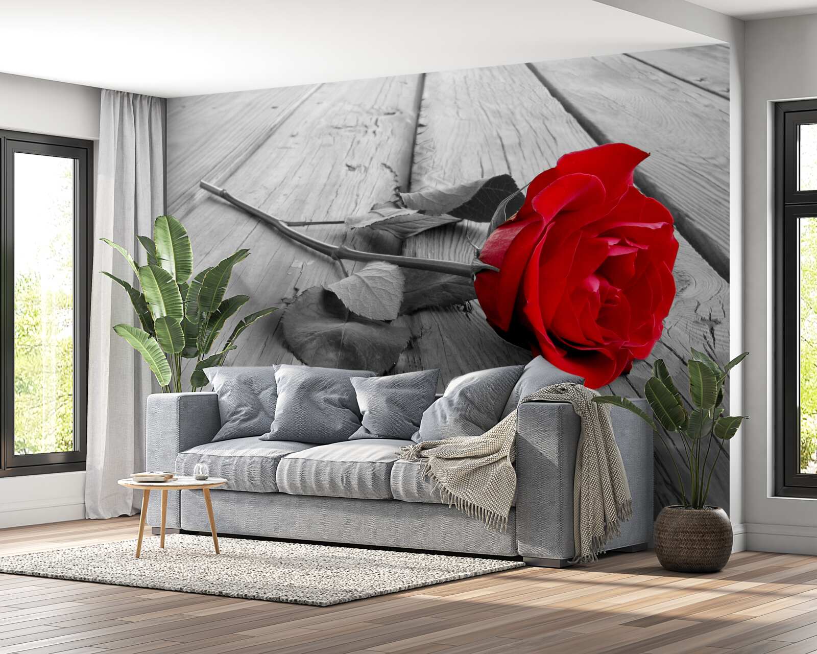 Papier peint une rose rouge s'épanouit sur un fond gris