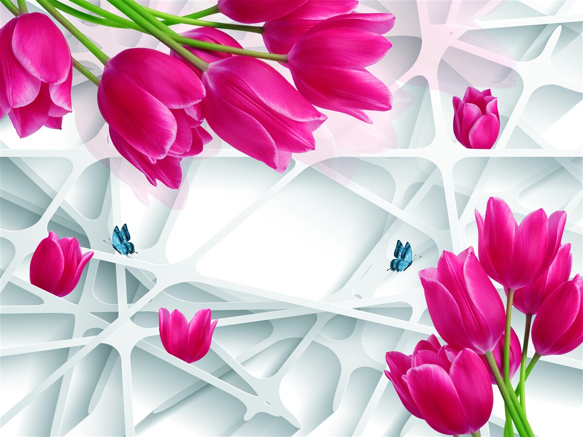 Papier peint magnifiques bourgeons de tulipes roses