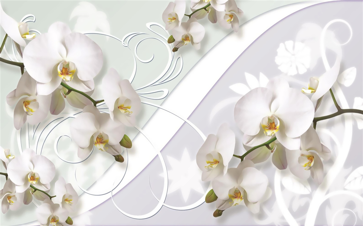 Papier peint orchidées blanches sur fond blanc
