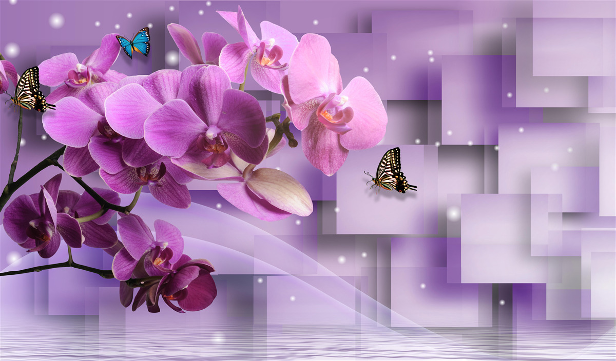 Papier peint composition d'orchidées fines et de papillons