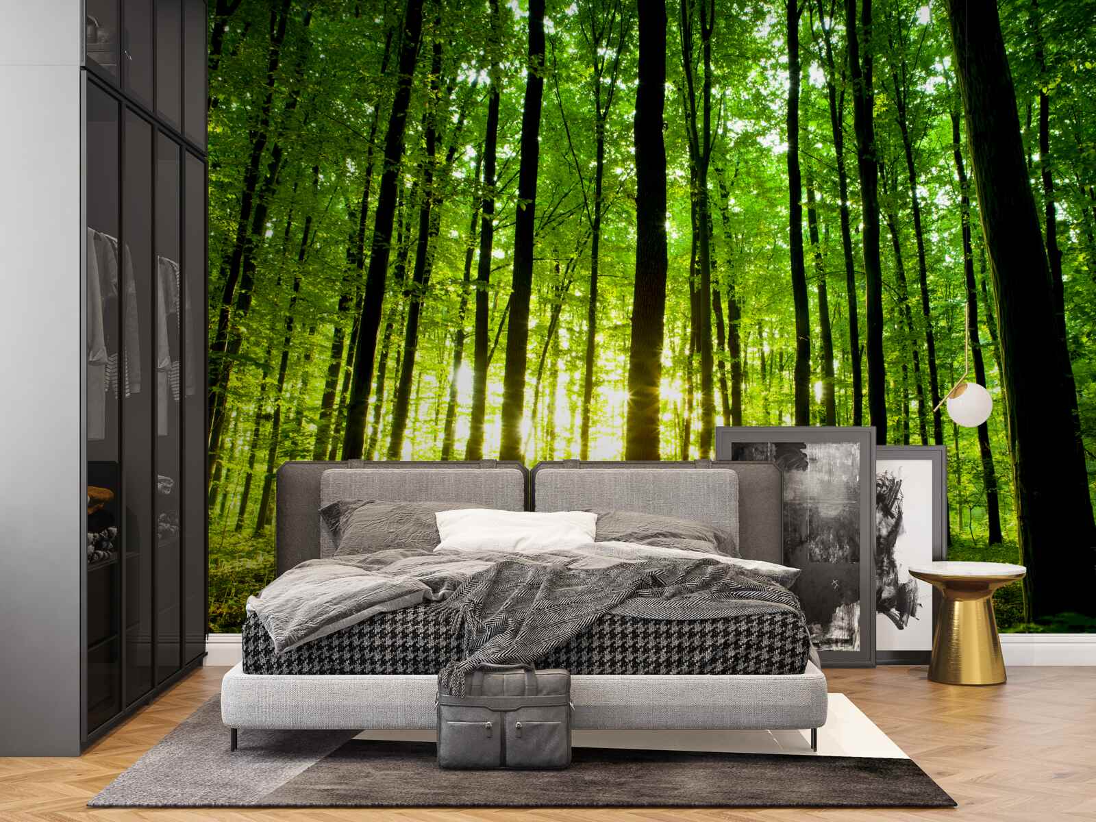 Papier peint les rayons du soleil pénètrent dans le bosquet dense