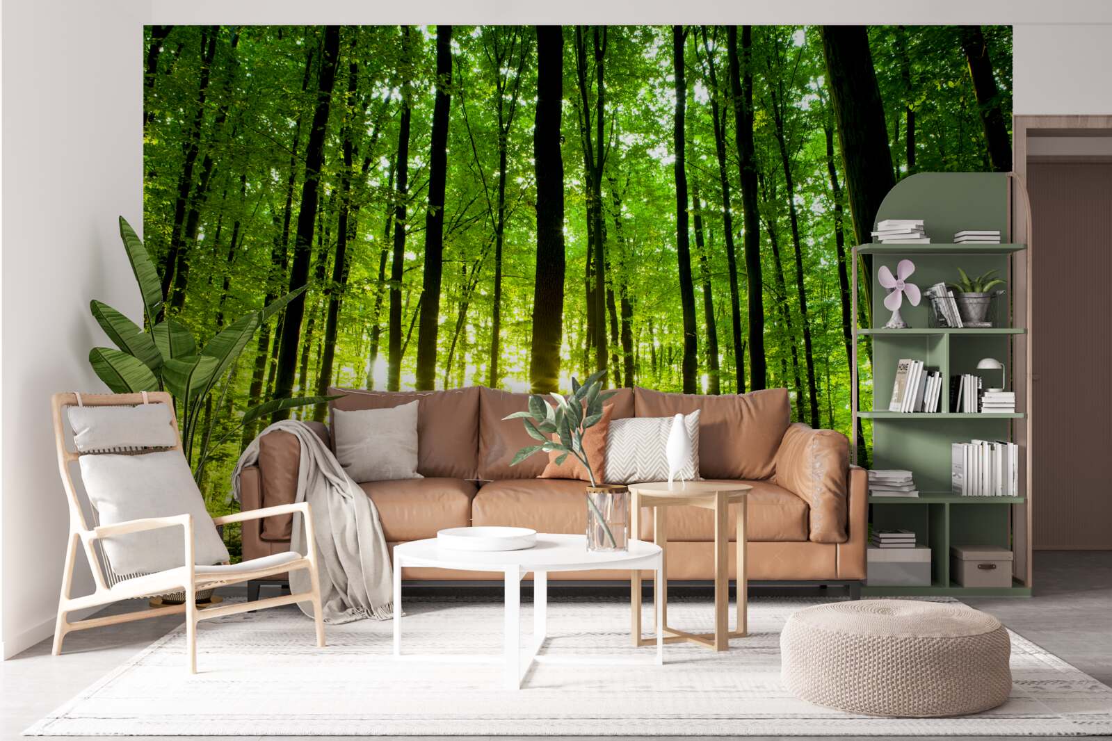 Papier peint les rayons du soleil pénètrent dans le bosquet dense