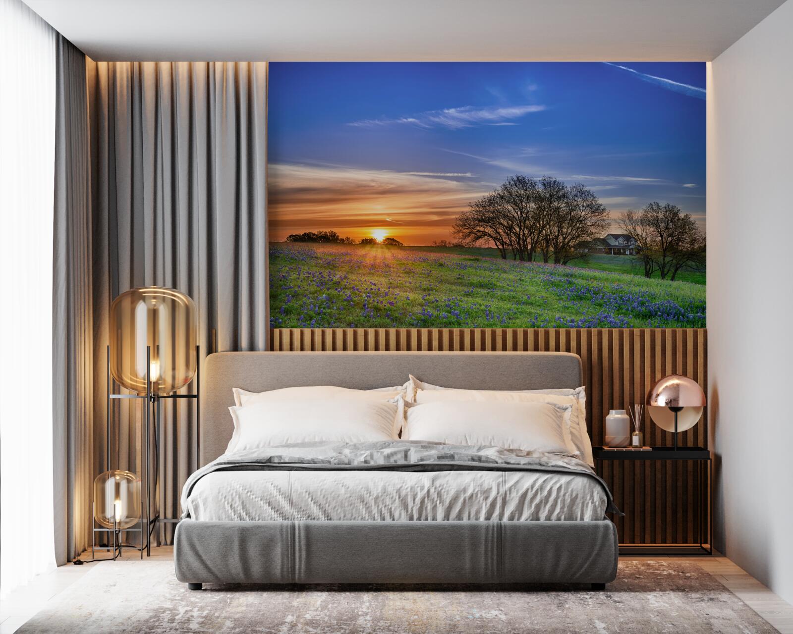 Papier peint le soleil se couche sur un champ de fleurs