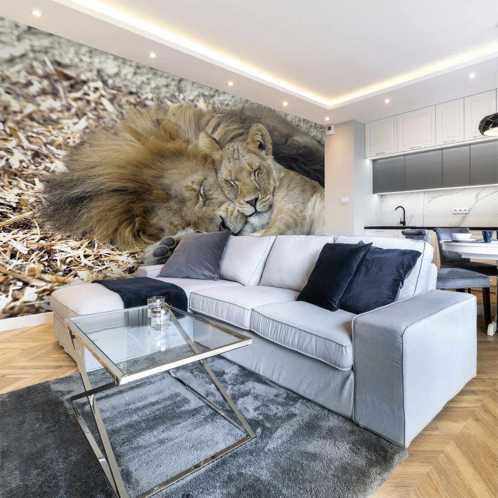 Papier peint lion et lionne formant un mariage, sayat