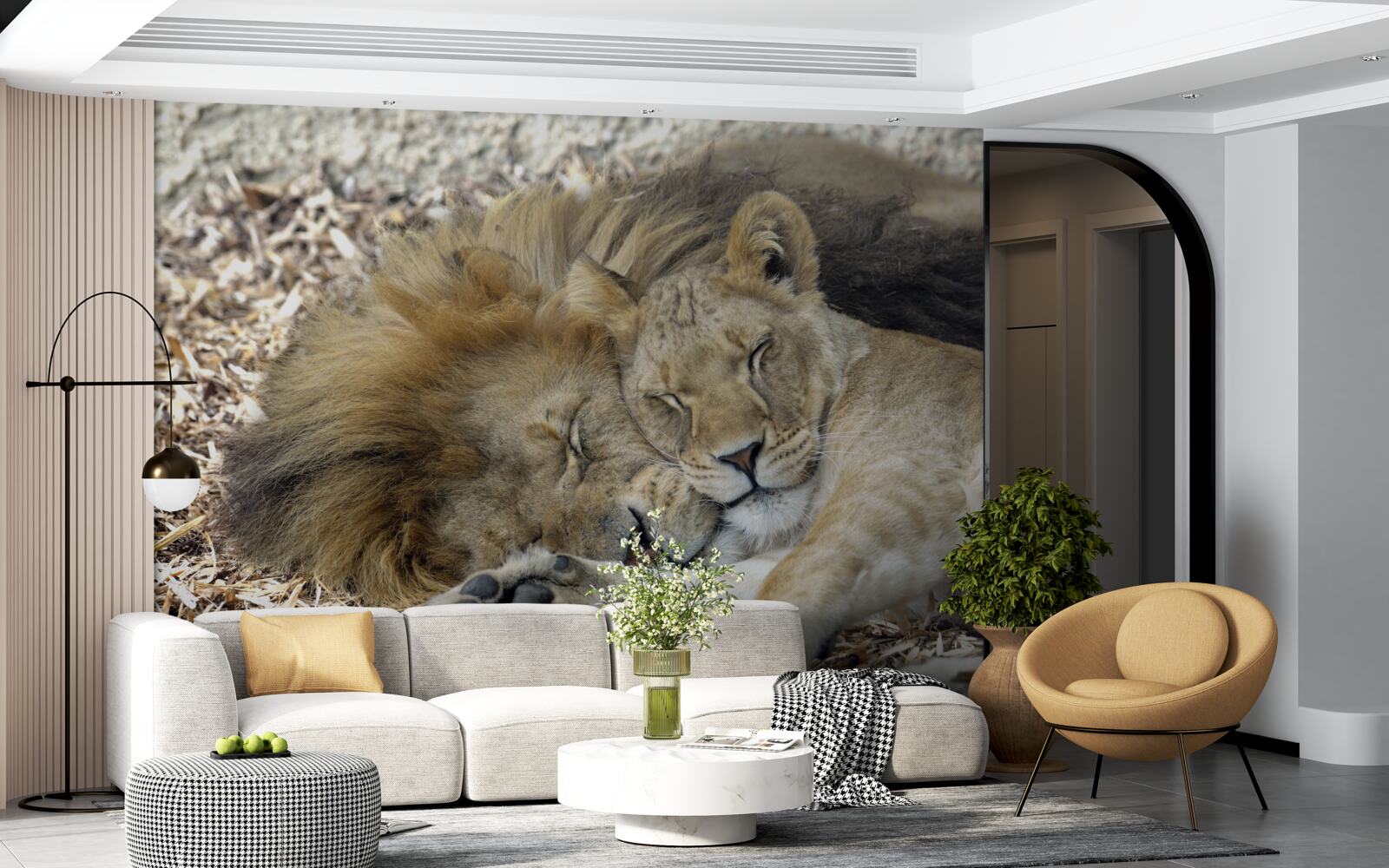 Papier peint lion et lionne formant un mariage, sayat