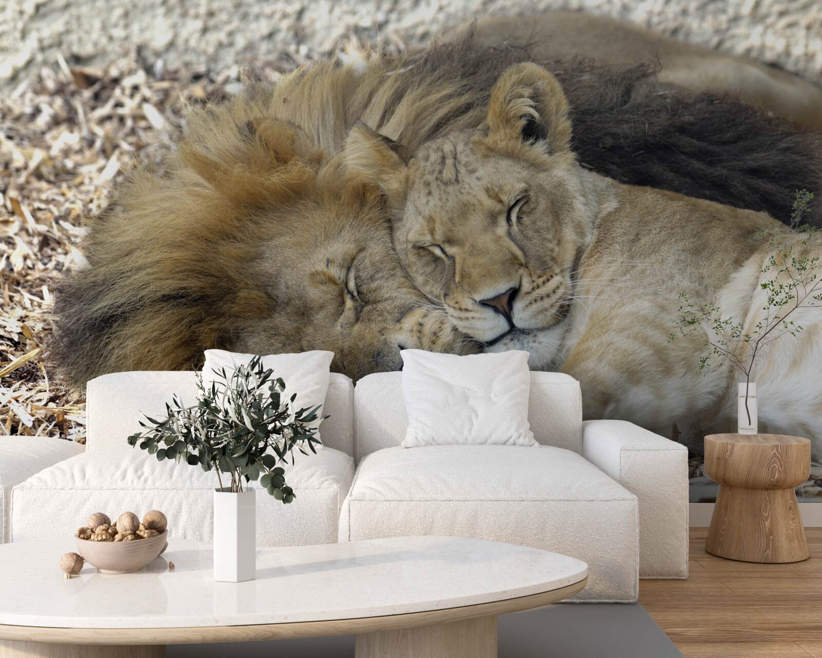 Papier peint lion et lionne formant un mariage, sayat