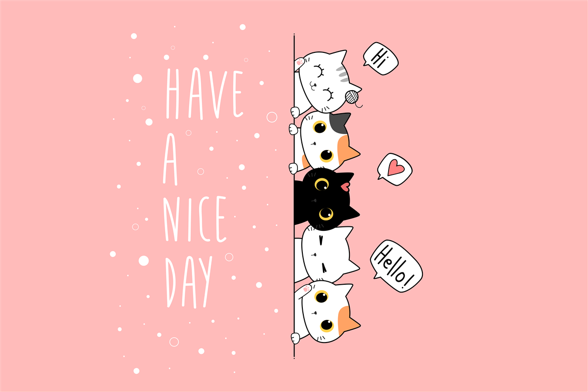 Papier peint les petits chats sortent