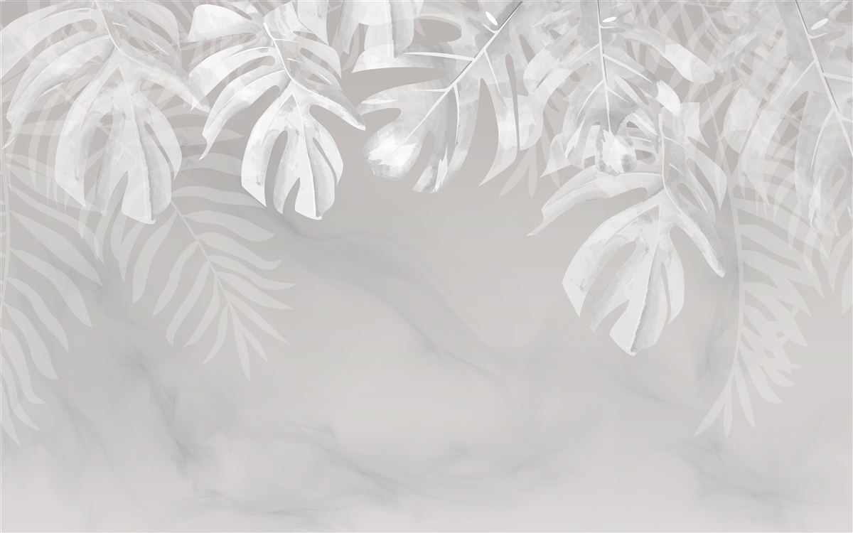 Papier peint monstera avec des feuilles pendantes blanches comme la neige