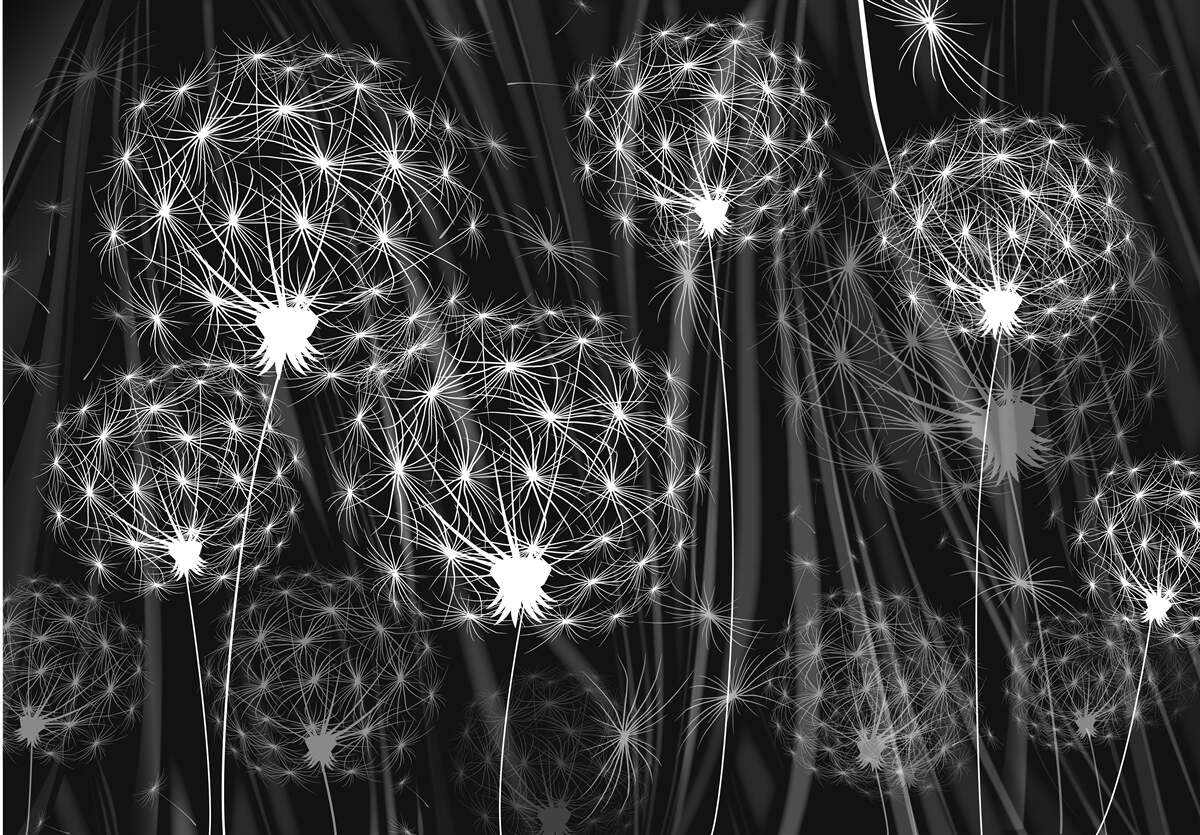 Papier peint œufs d'un blanc éclatant