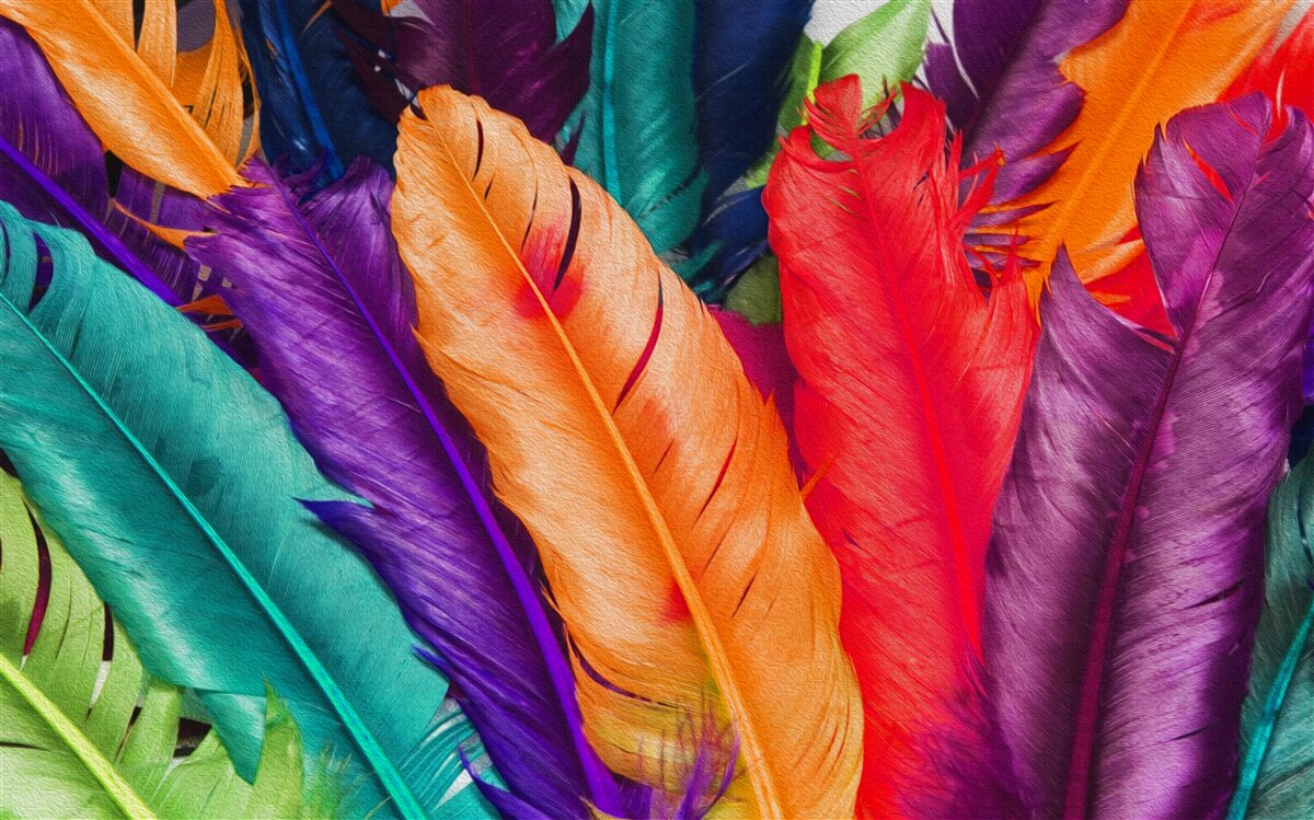 Papier peint plumes extrêmement riches et brillantes