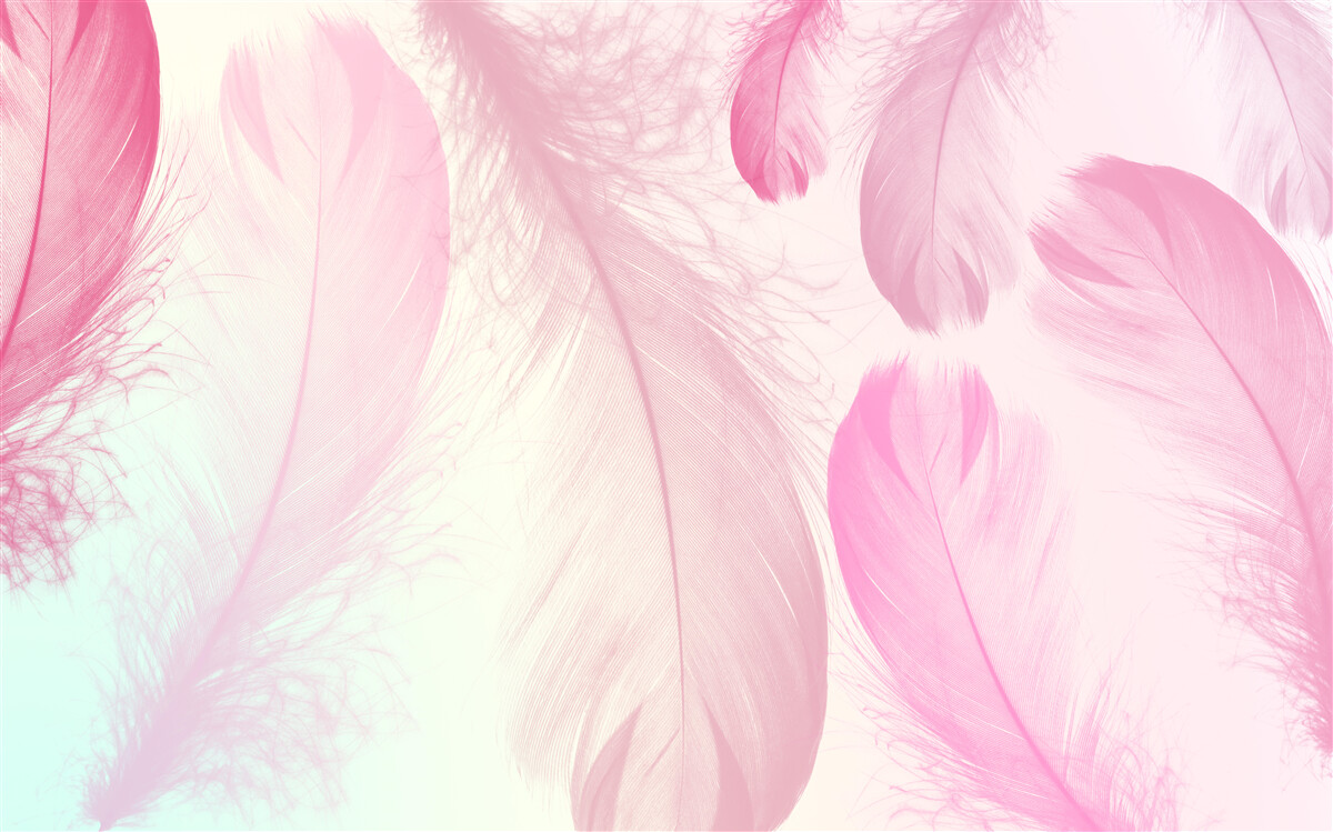 Papier peint grandes plumes avec une délicate teinte rose