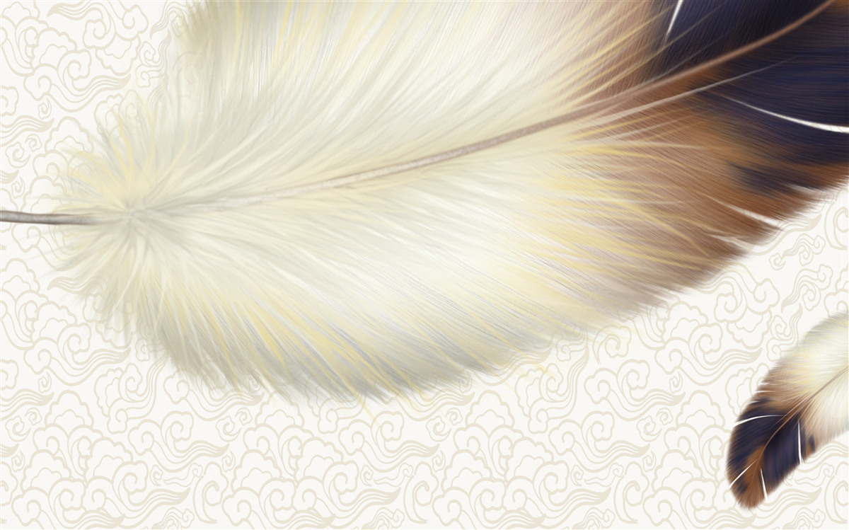 Papier peint les plumes sont blanches avec des bords bruns