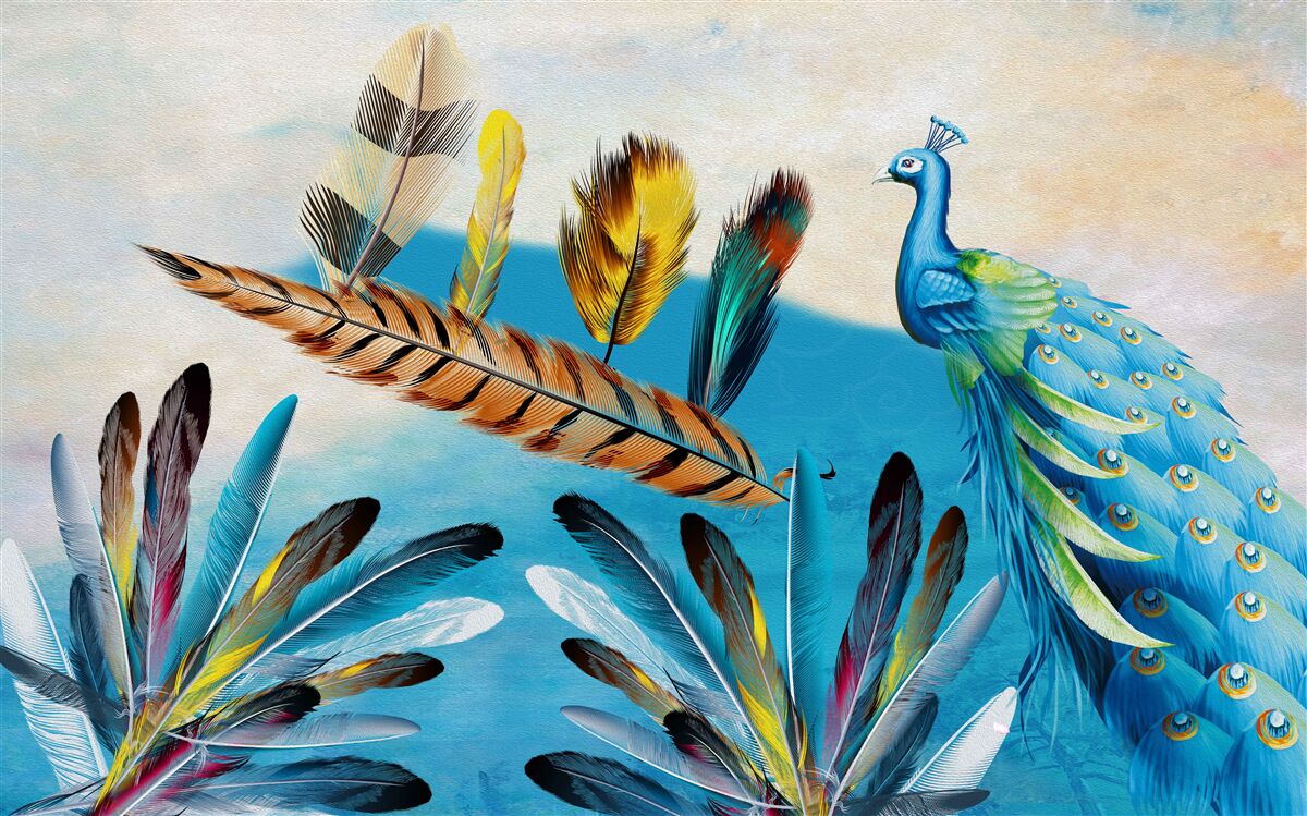 Papier peint les plumes de paon et leurs variétés