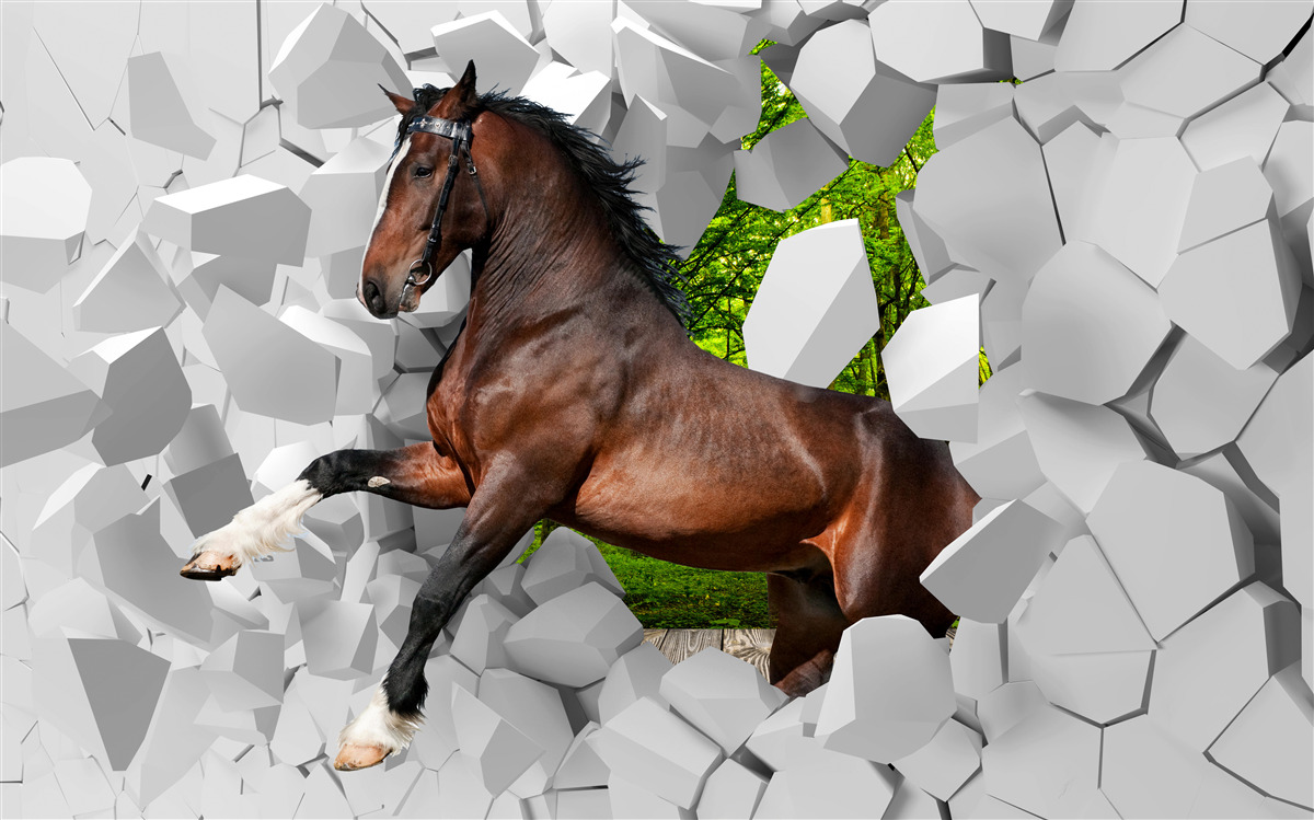 Papier peint le cheval brun franchit l'obstacle du mur