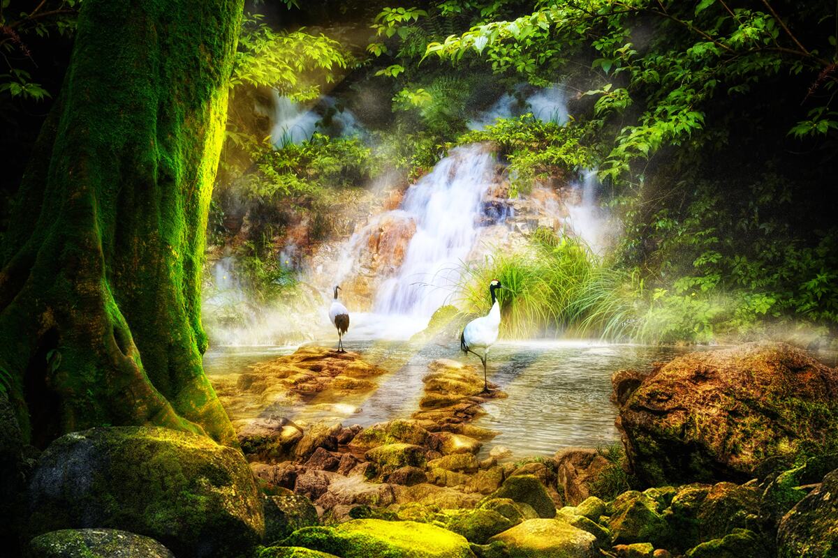 Papier peint chute d'eau magique en montagne tombant en cascade