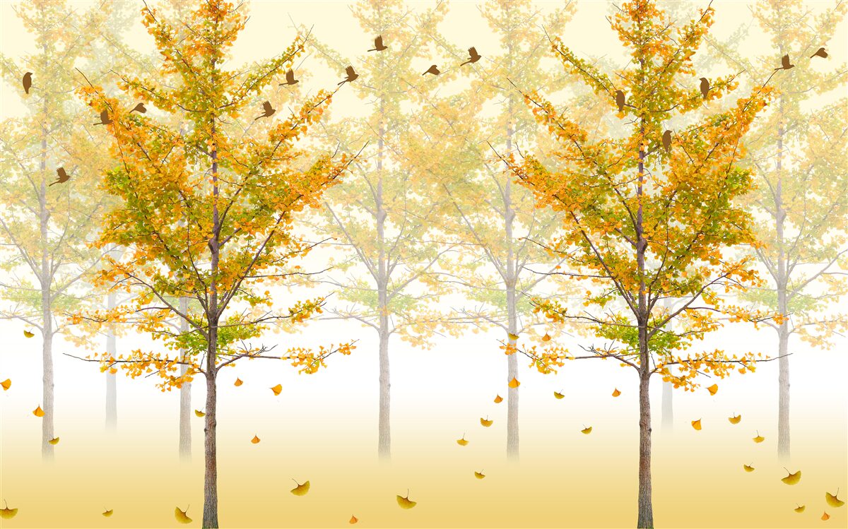 Papier peint les couleurs de l'automne dans une forêt de feuillus