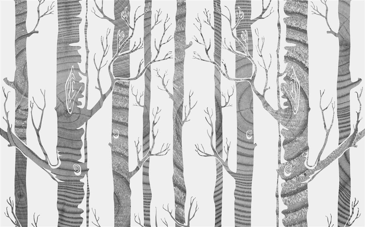 Papier peint birch grove insolite