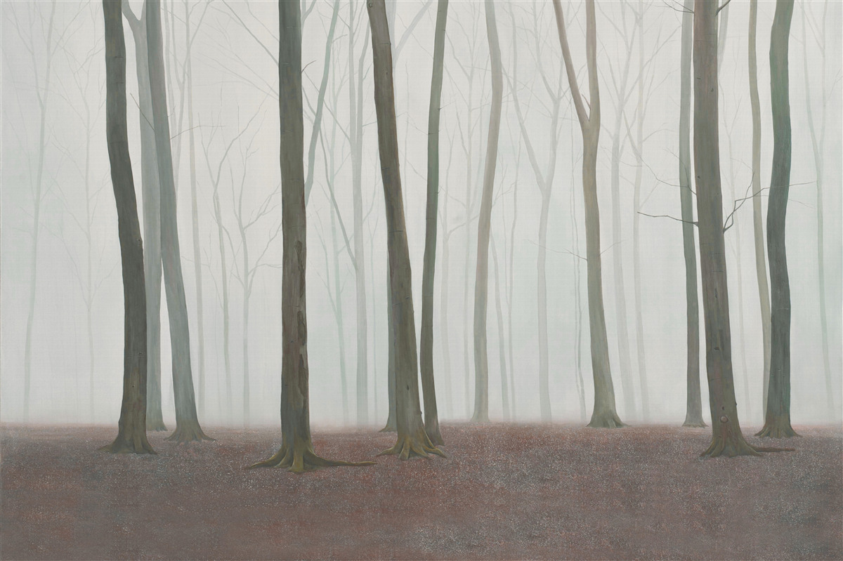 Papier peint arbres isolés entourés de brume