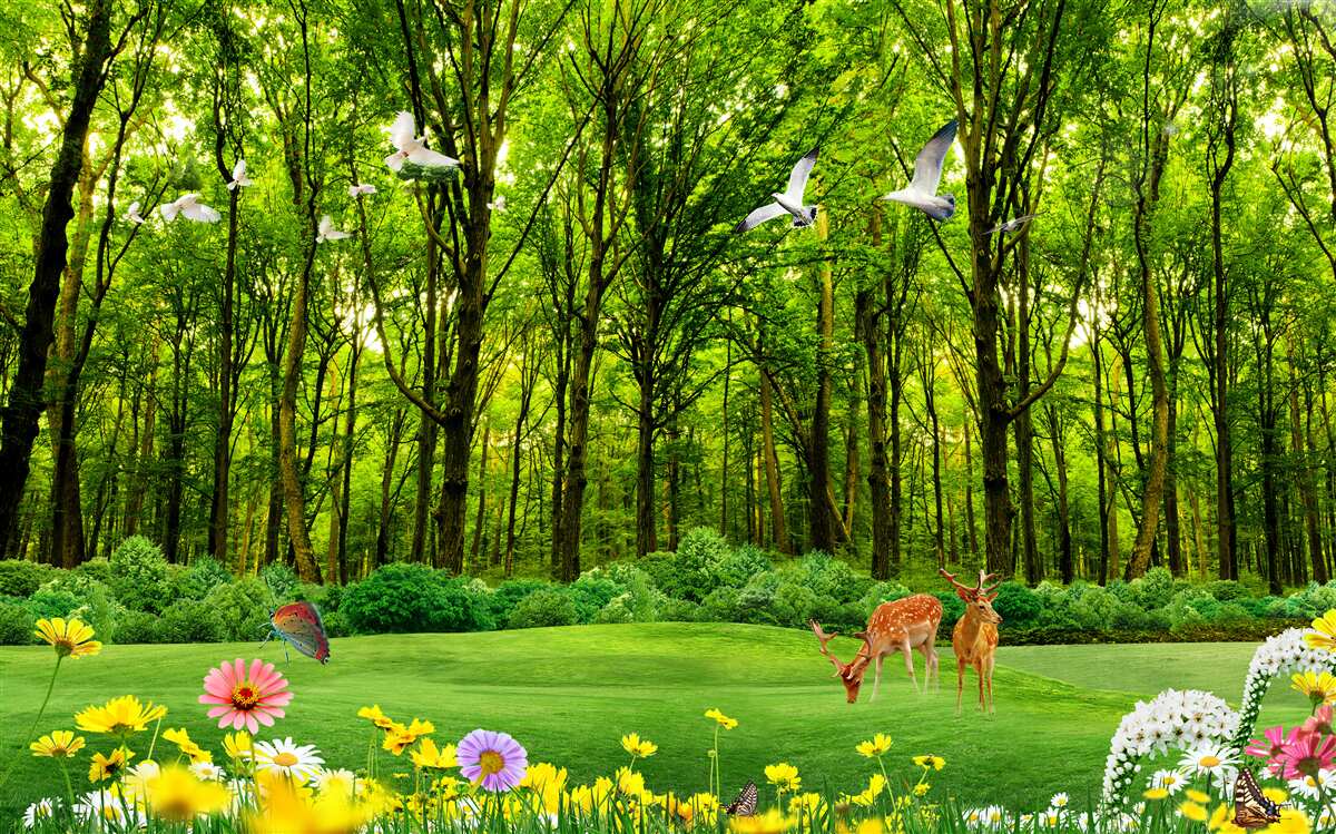 Papier peint dans la forêt verte, les cerfs sont en pâturage