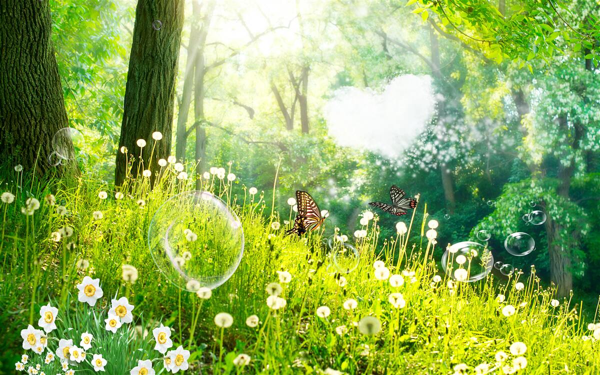 Papier peint Mites sur une prairie verte
