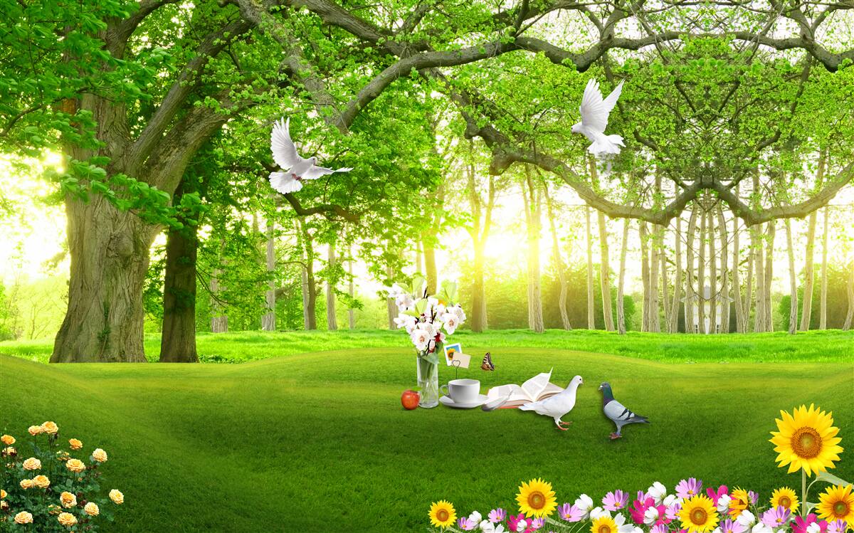 Papier peint pelouse verte et paisible à l'aube